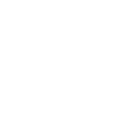 Caminhões de paletes 